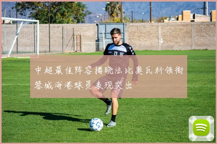 中超最佳阵容揭晓法比奥瓦科领衔蓉城海港球员表现突出